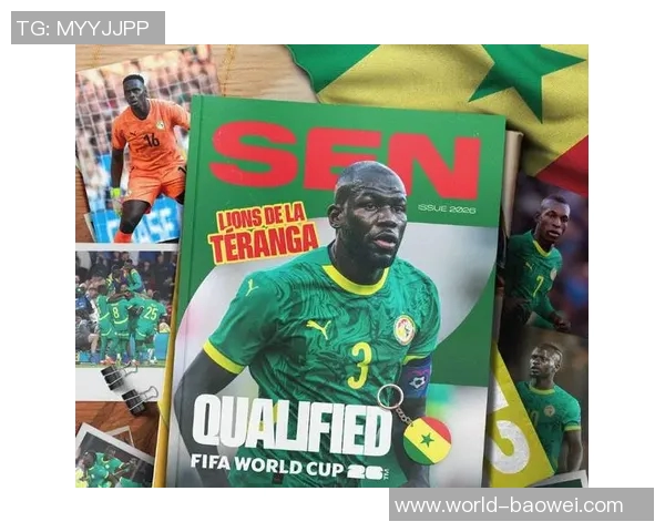 南美十队中六队晋级世界杯欧洲强队却面临完全不同的挑战